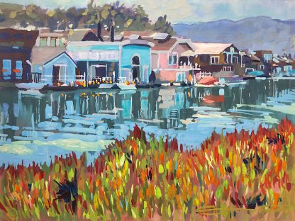 Colourful houseboats in Sausalito California